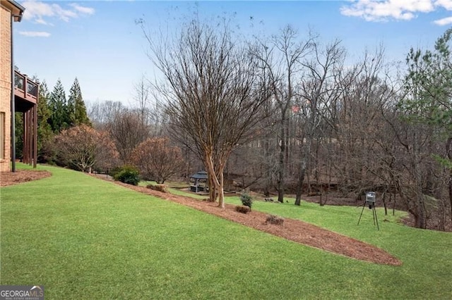 5861 Yoshino Cherry Ln, Braselton, GA 30517 - view of yard