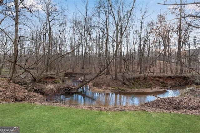 5861 Yoshino Cherry Ln, Braselton, GA 30517 - property view of water