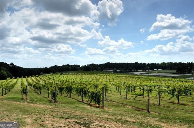 5861 Yoshino Cherry Ln, Braselton, GA 30517 - view of local wilderness featuring a rural view