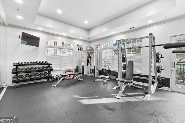 workout area with crown molding, a tray ceiling, and a wealth of natural light