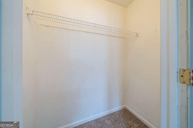 walk in closet featuring carpet