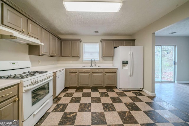 kitchen with sink, white appliances, a textured ceiling, and a healthy amount of sunlight