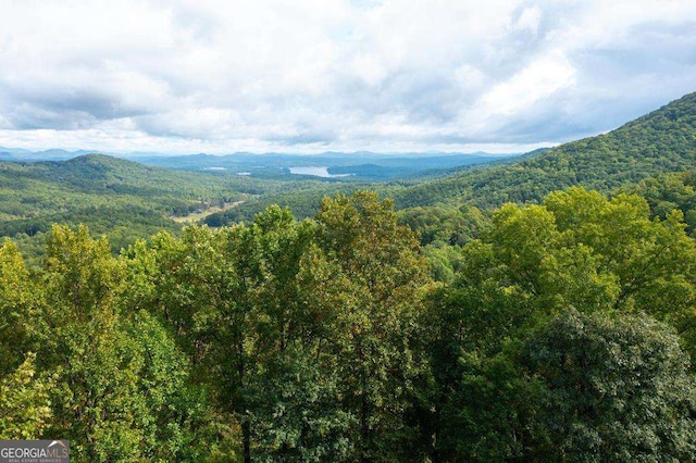 property view of mountains