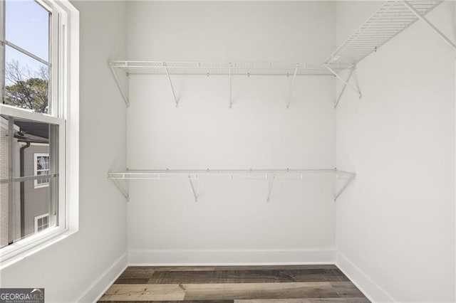 walk in closet with dark wood-style floors