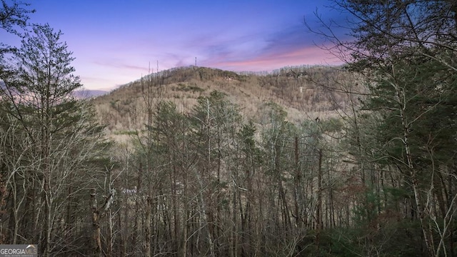 view of mountain feature featuring a wooded view