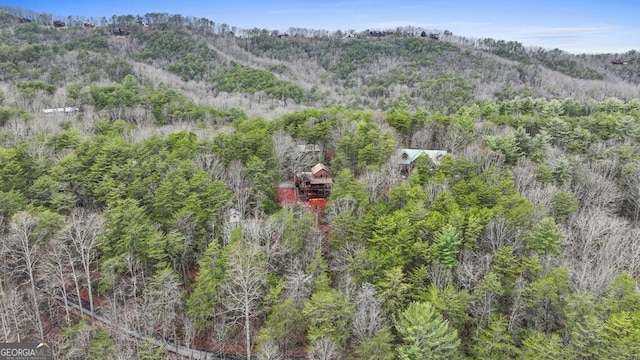 drone / aerial view with a forest view