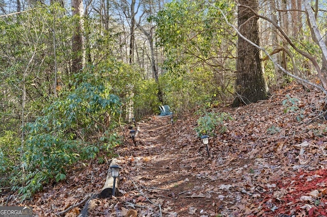 view of landscape with a wooded view