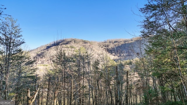 mountain view featuring a wooded view