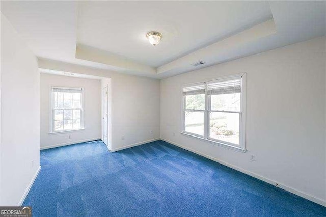 spare room with a raised ceiling and dark carpet