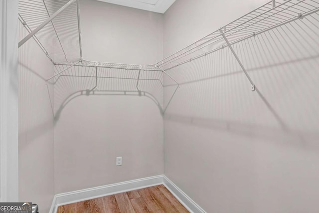 walk in closet featuring hardwood / wood-style flooring