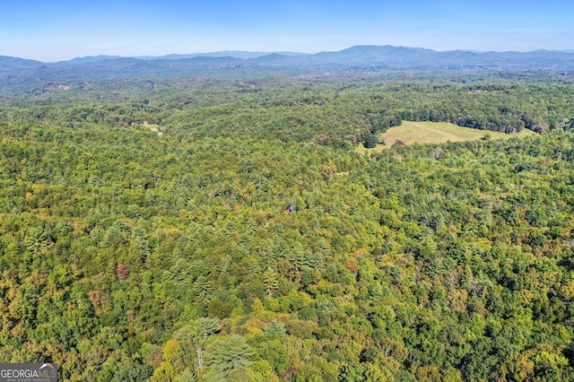 birds eye view of property featuring a mountain view