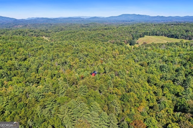 aerial view with a mountain view