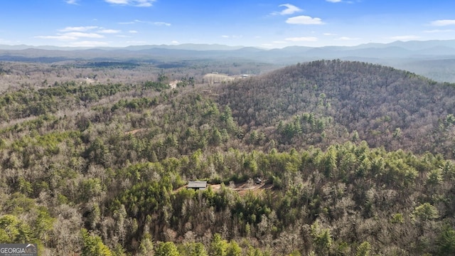 birds eye view of property featuring a mountain view