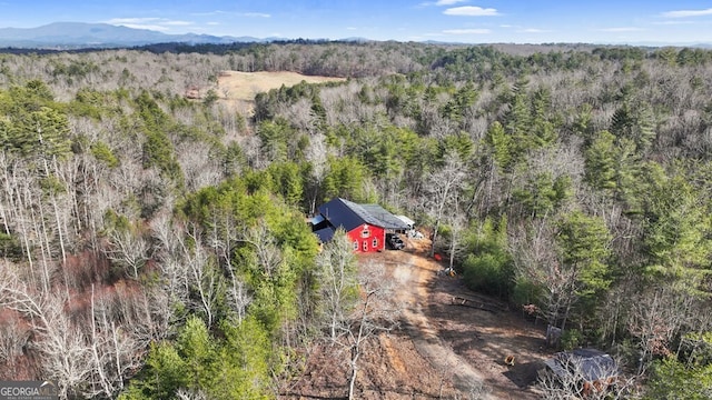 aerial view with a mountain view