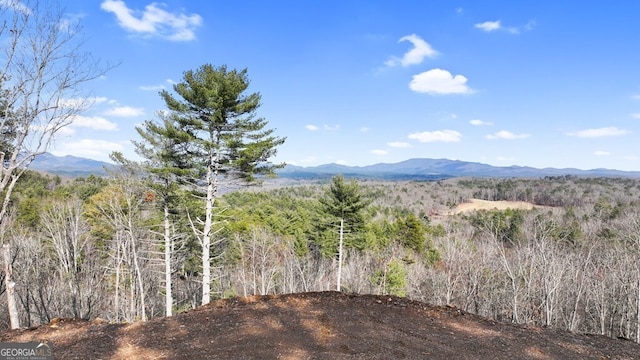 view of mountain feature