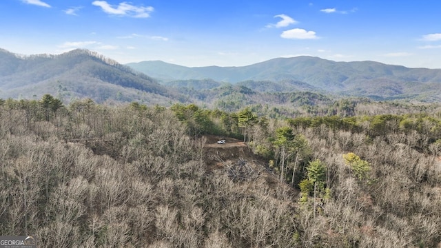 property view of mountains