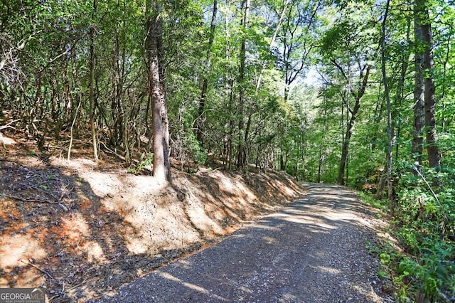 view of road