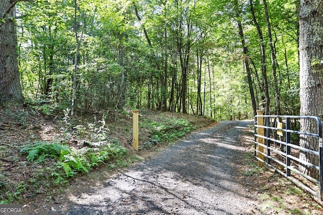 view of road