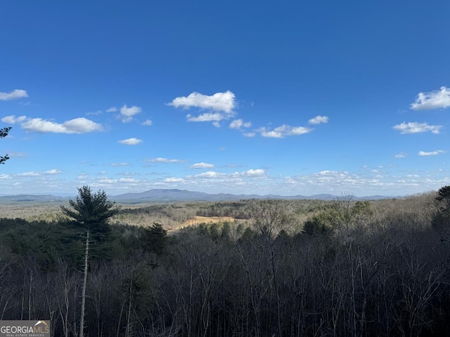 view of mountain feature