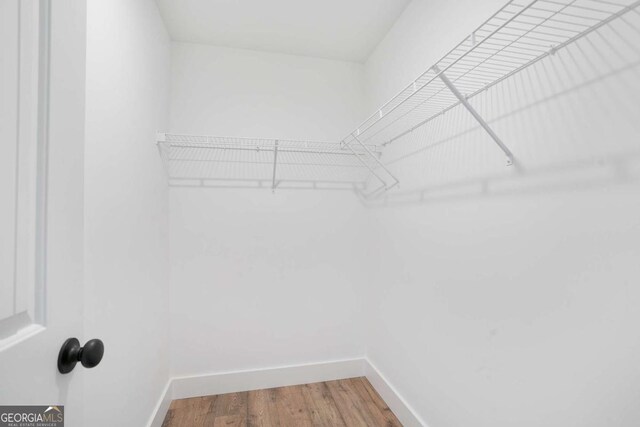 spacious closet featuring hardwood / wood-style floors