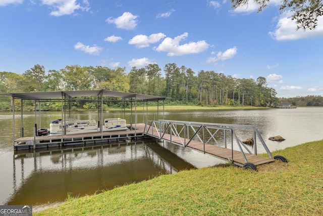 dock area with a water view