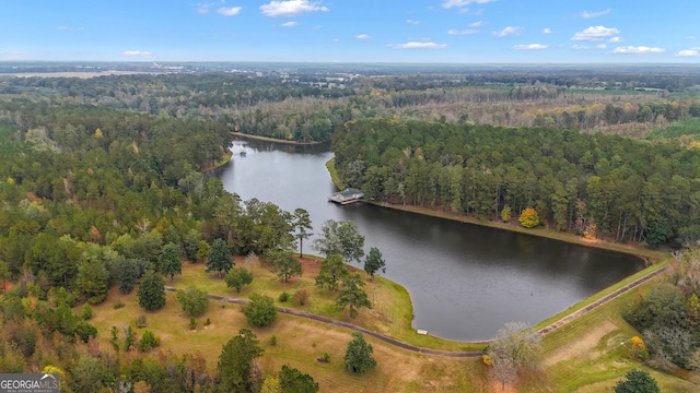 aerial view featuring a water view and a view of trees