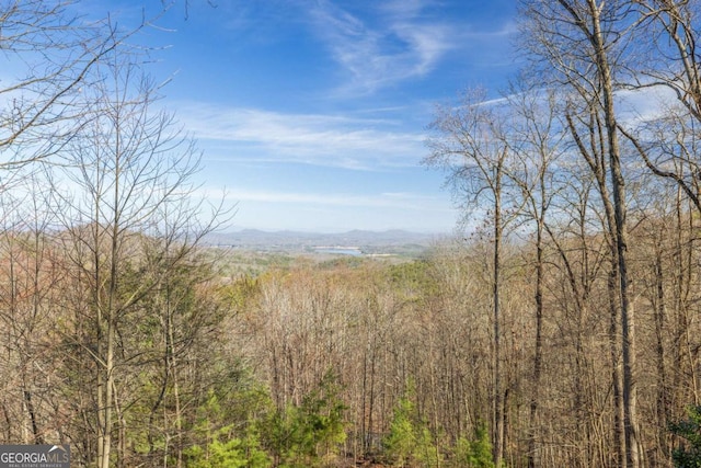 property view of mountains