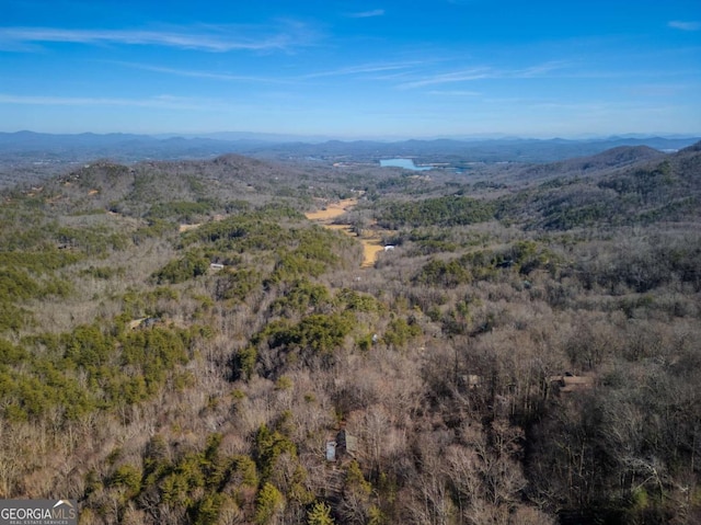 drone / aerial view with a mountain view