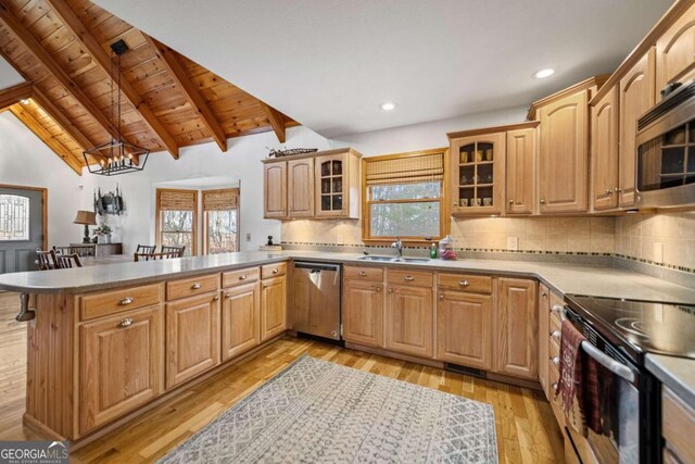 380 Oak Ridge Way, Morganton, GA 30560 - kitchen featuring stainless steel appliances, a sink, a peninsula, light wood-style flooring, and plenty of natural light