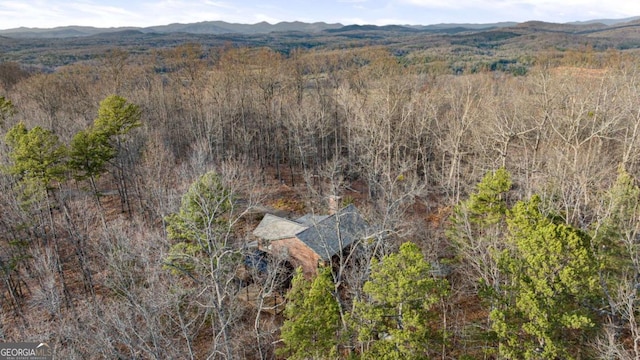 380 Oak Ridge Way, Morganton, GA 30560 - aerial view of mountains and a forest