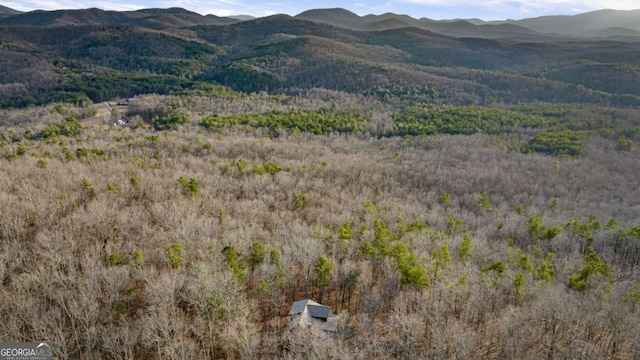 property view of mountains