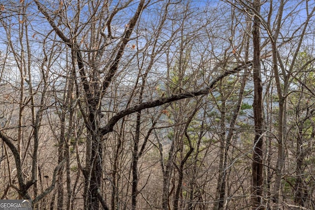 380 Oak Ridge Way, Morganton, GA 30560 - water view with a forest