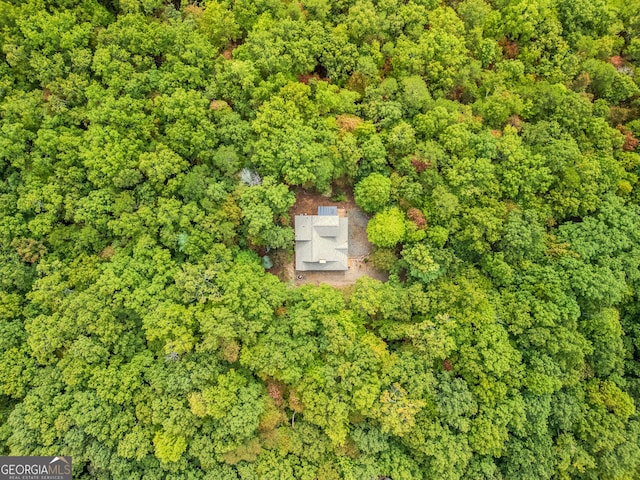 380 Oak Ridge Way, Morganton, GA 30560 - aerial overview of property's location