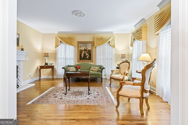 256 Allie Dr, Mcdonough, GA 30252 - sitting room with a fireplace with raised hearth, crown molding, baseboards, and wood finished floors
