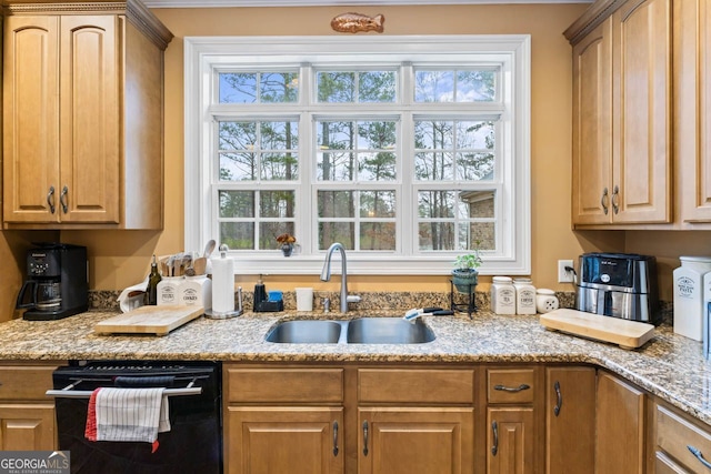 256 Allie Dr, Mcdonough, GA 30252 - kitchen with a wealth of natural light, dishwashing machine, light stone counters, and a sink