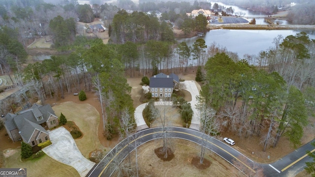 256 Allie Dr, Mcdonough, GA 30252 - bird's eye view with a water view