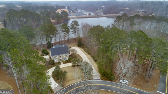 256 Allie Dr, Mcdonough, GA 30252 - drone / aerial view featuring a water view and a forest view