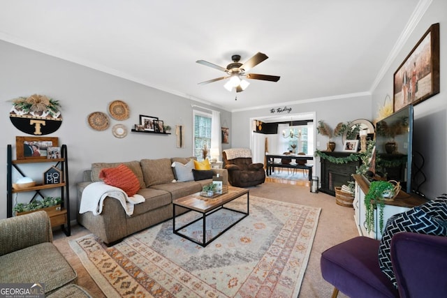 carpeted living room with ceiling fan and ornamental molding