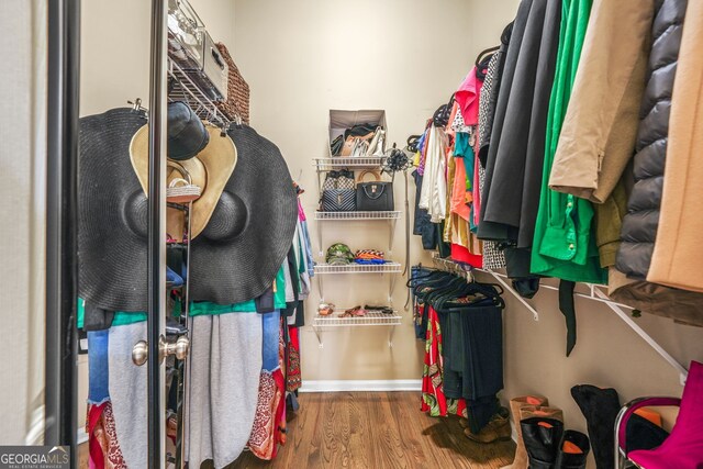 walk in closet featuring wood finished floors