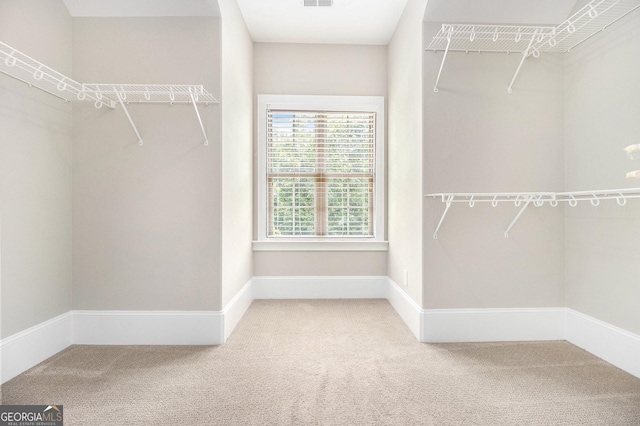 walk in closet with carpet flooring