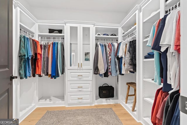 spacious closet with wood-type flooring