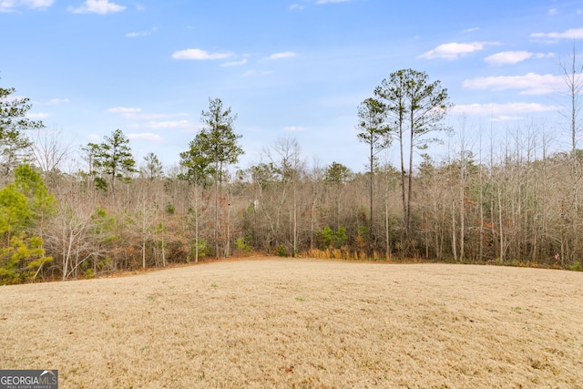 view of local wilderness