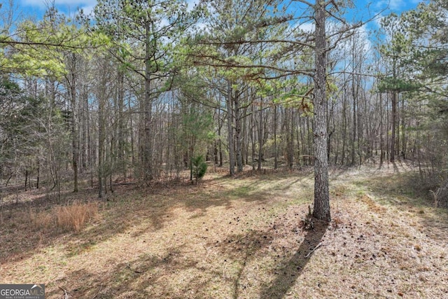 1423 Hargrove Lake Rd, Winterville GA, 30683 land for sale