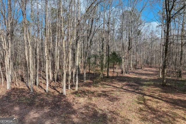 1423 Hargrove Lake Rd, Winterville, GA 30683