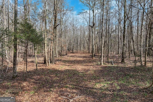 1423 Hargrove Lake Rd, Winterville, GA 30683