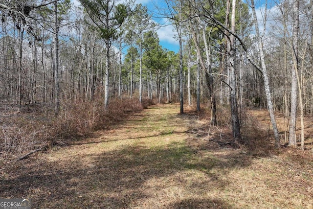 1423 Hargrove Lake Rd, Winterville, GA 30683