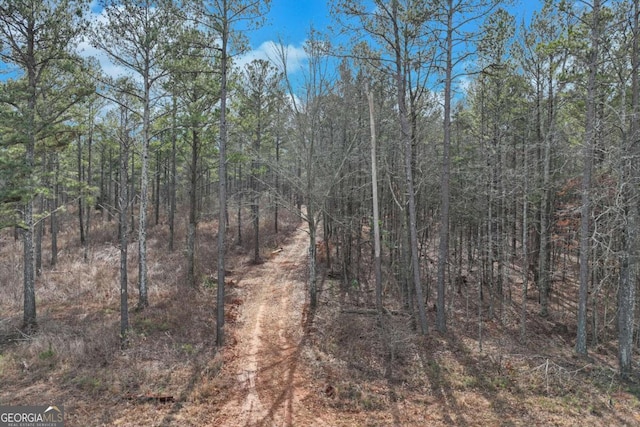 1423 Hargrove Lake Rd, Winterville, GA 30683