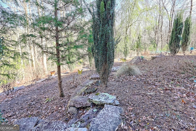 view of landscape with a wooded view