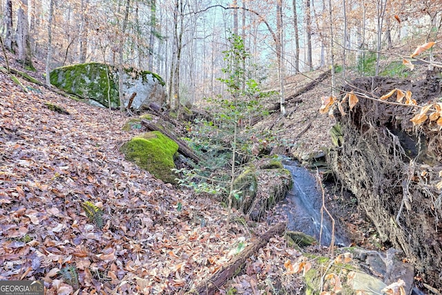 view of landscape featuring a forest view