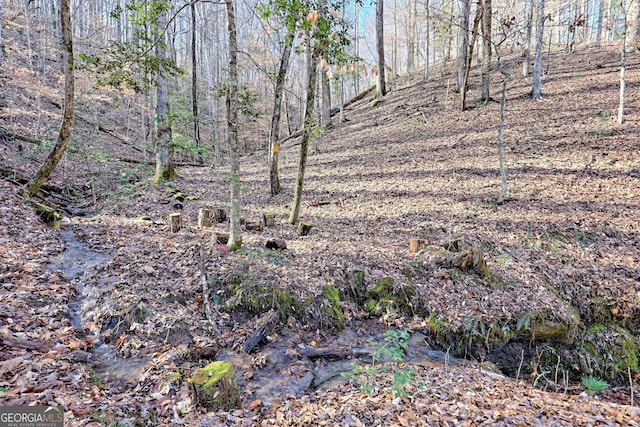 view of local wilderness with a forest view